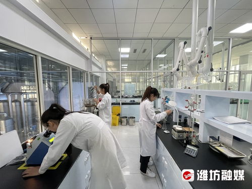 搶風口 布賽道 濰坊諸城以技術開發(fā)為核心，加速生物制造產業(yè)發(fā)展